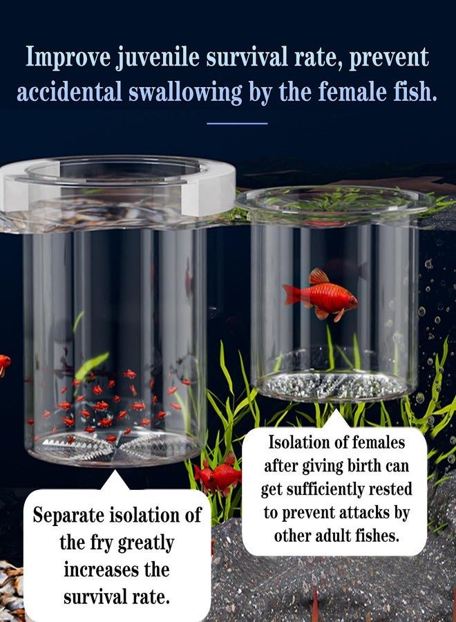 WEAVERBIRD Aquarium Breeder Box, Fish Breeding Box, Acrylic Breeder Isolation Divider Hatching Boxes, Floating Incubation Box, Round Isolation Hatchery Feeding Boxes for Small Fish Fry Hatchery - Image 3